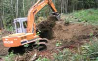 Excavating a maple stump
May 2008